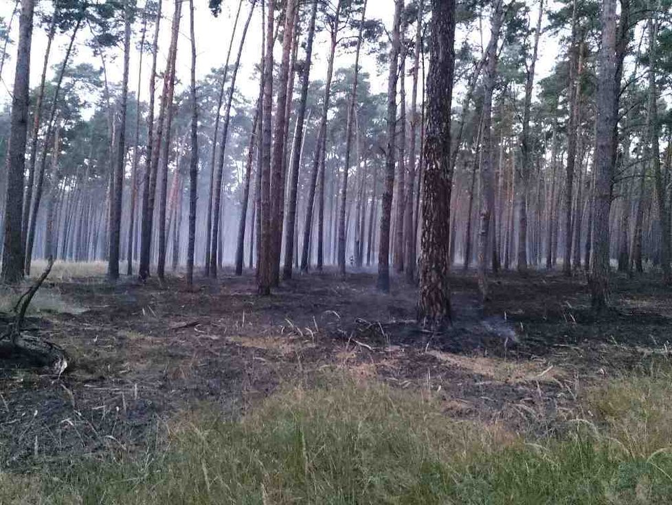 U Vracova na Hodonínsku začal v úterý kolem 21. hodiny hořet les. Hasiči s ohněm bojovali celou noc. Ohniska dohašují ještě i po 15 hodinách.