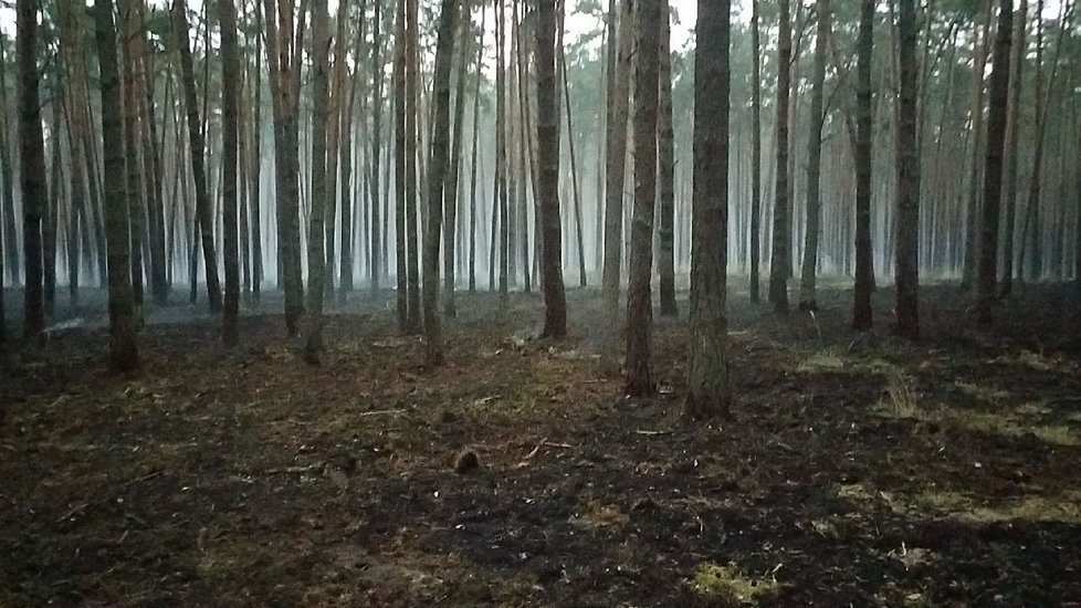 U Vracova na Hodonínsku začal v úterý kolem 21. hodiny hořet les. Hasiči s ohněm bojovali celou noc. Ohniska dohašují ještě i po 15 hodinách.