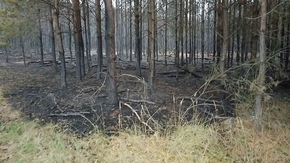 U Vracova na Hodonínsku začal v úterý kolem 21. hodiny hořet les. Hasiči s ohněm bojovali celou noc. Ohniska dohašují ještě i po 15 hodinách.