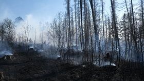 Hasiči na severu Moravy likvidovali tři lesní požáry za jediný den.