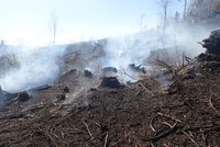 Na Bruntálsku shořel les za půl milionu: Čtyřicet hasičů krotilo plameny šest hodin