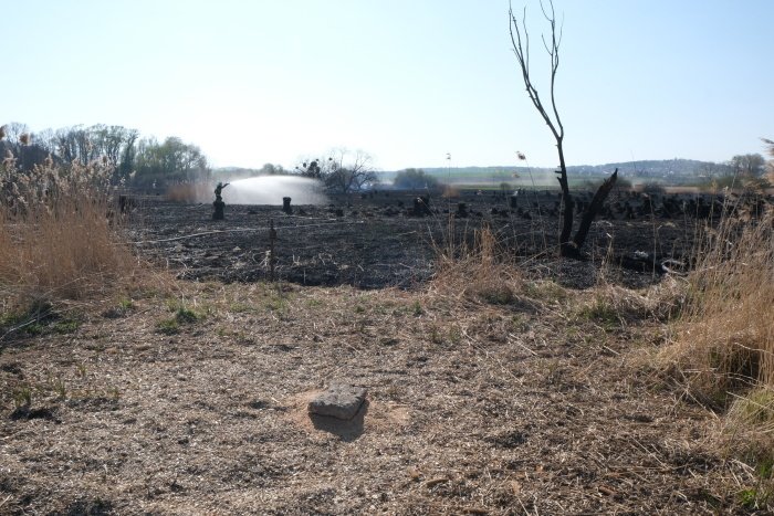 Hasiči na severu Moravy likvidovali tři lesní požáry za jediný den.