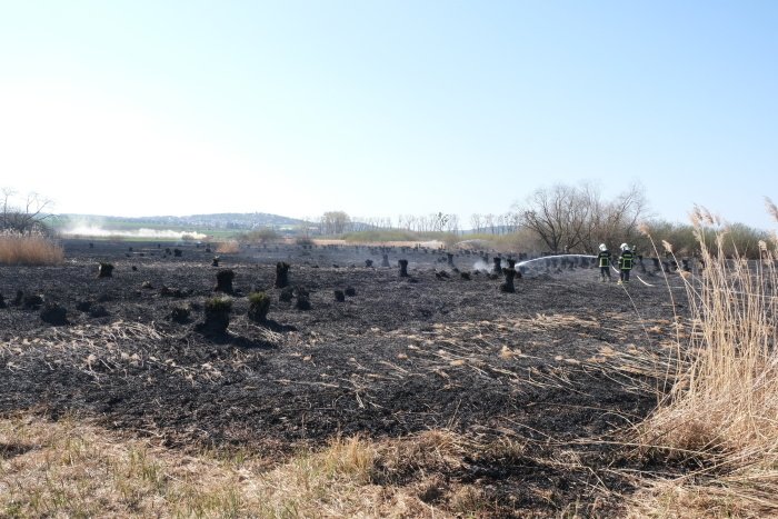 Hasiči na severu Moravy likvidovali tři lesní požáry za jediný den.