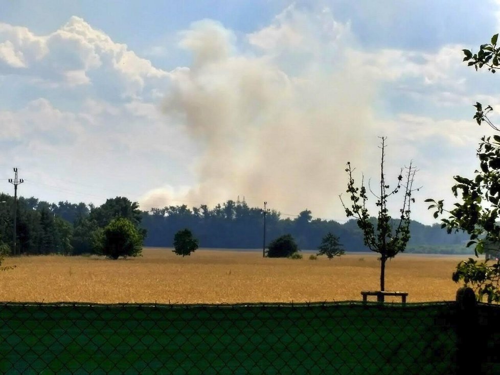 Nad lesem u Bzence se vznáší dým z požáru.