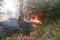 Na Klatovsku hoří pole a les: Deset cisteren a třetí stupeň poplachu