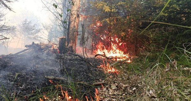 Na Opavsku hoří les: Třetí stupeň poplachu! Do akce je povolán vrtulník
