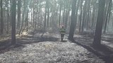 U Rohatce vzplál les, zasahovala stovka hasičů a vrtulník s vakem