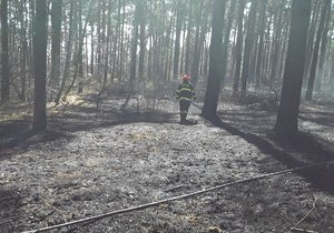 Plameny zachvátily v úterý před polednem les a porost u železniční trati u Rohatce. Na místě zasahovala stovka hasičů.