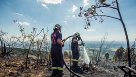 Požár lesa a trávy o rozloze zhruba hektaru na vrcholu Ještědu se hasičům podařilo 13. srpna 2018 odpoledne po dvou hodinách dostat pod kontrolu. Do zásahu se zapojilo 19 jednotek, což je kolem stovky hasičů.