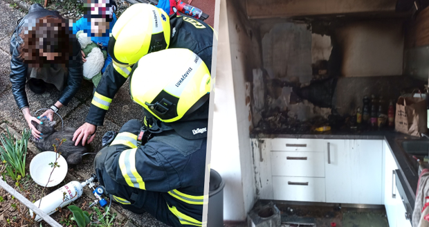 Zničující požár v Luhačovicích: Zřejmě ho způsobily kočky! Jedna z nich zemřela 