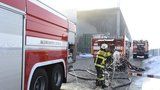 Místo hašení fabriky si pracovníci požár točili. Co dalšího potkalo hasiče v roce 2017?