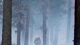 Hasiči v Nevadě bojují s lesním požárem.