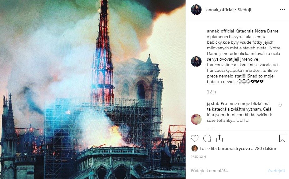 Reakce na požár katedrály Notre-Dame