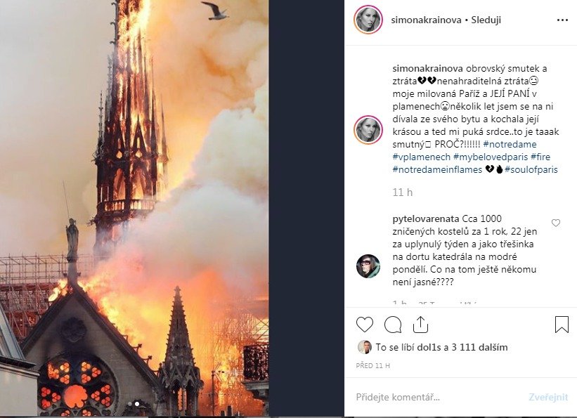 Reakce na požár katedrály Notre-Dame