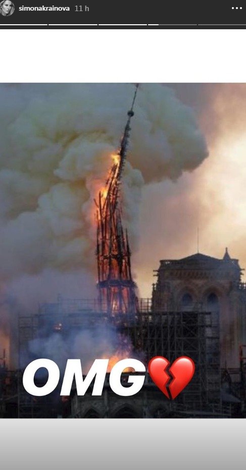 Reakce na požár katedrály Notre-Dame