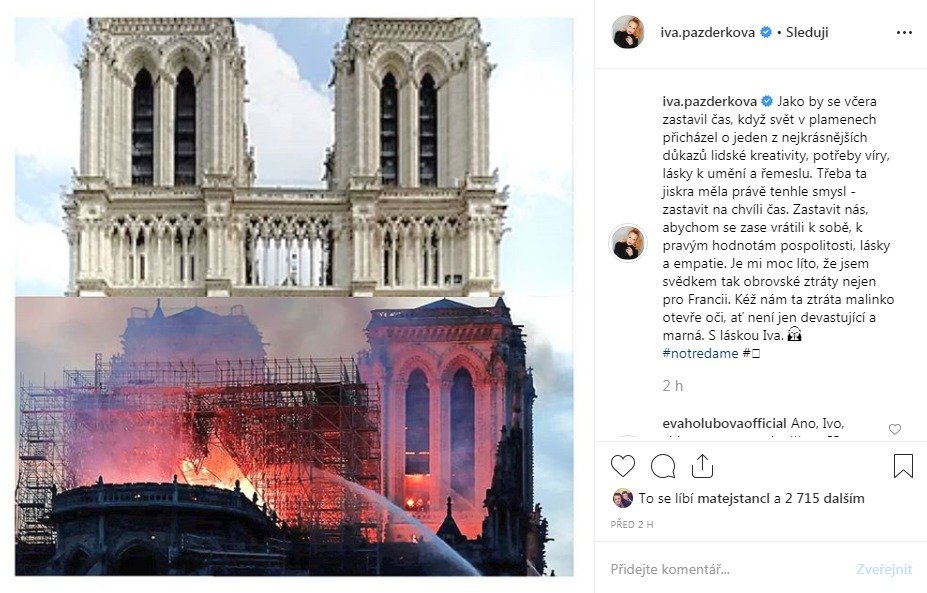 Reakce na požár katedrály Notre-Dame