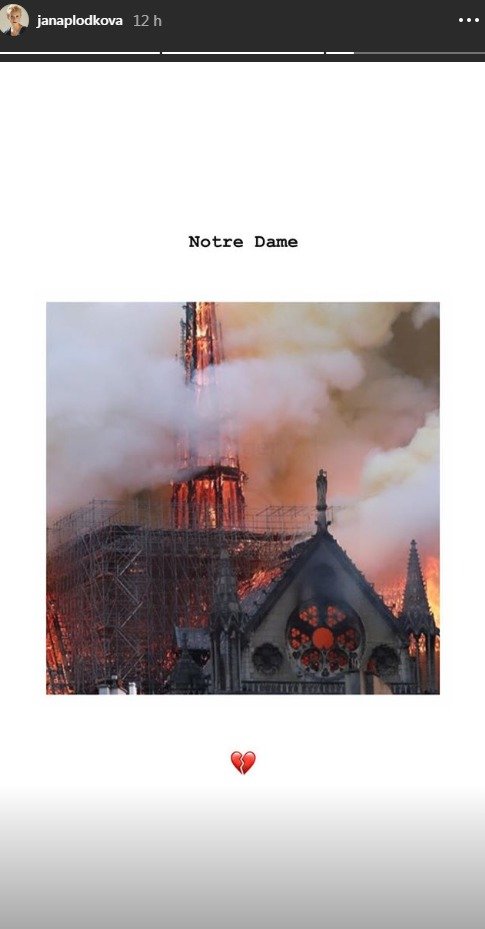 Reakce na požár katedrály Notre-Dame