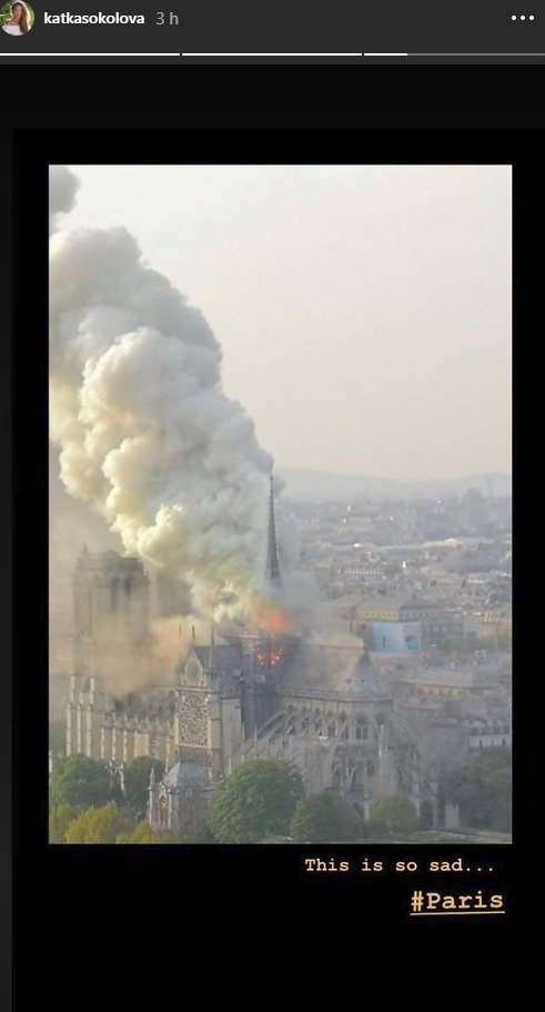 Reakce na požár katedrály Notre-Dame