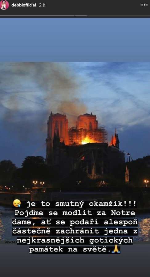 Reakce na požár katedrály Notre-Dame