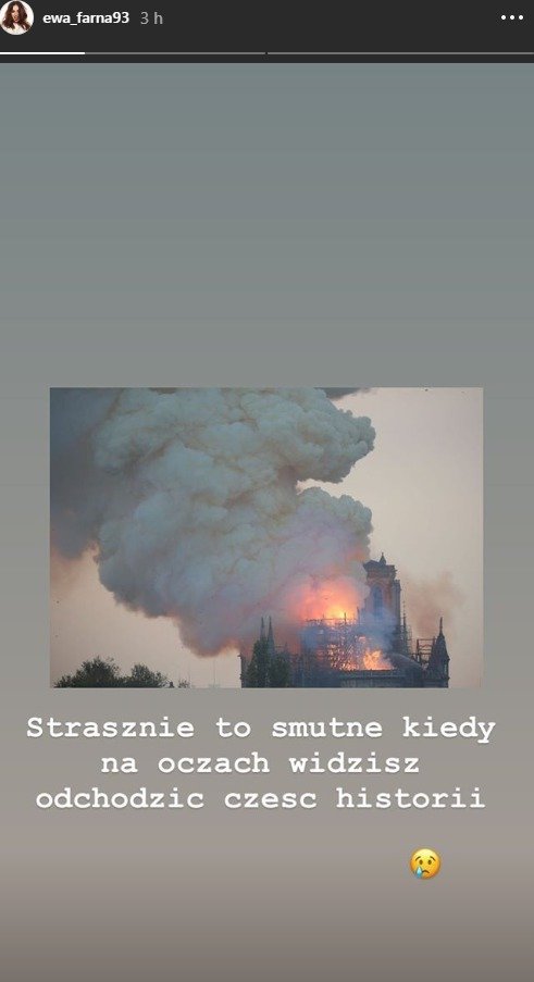 Reakce na požár katedrály Notre-Dame