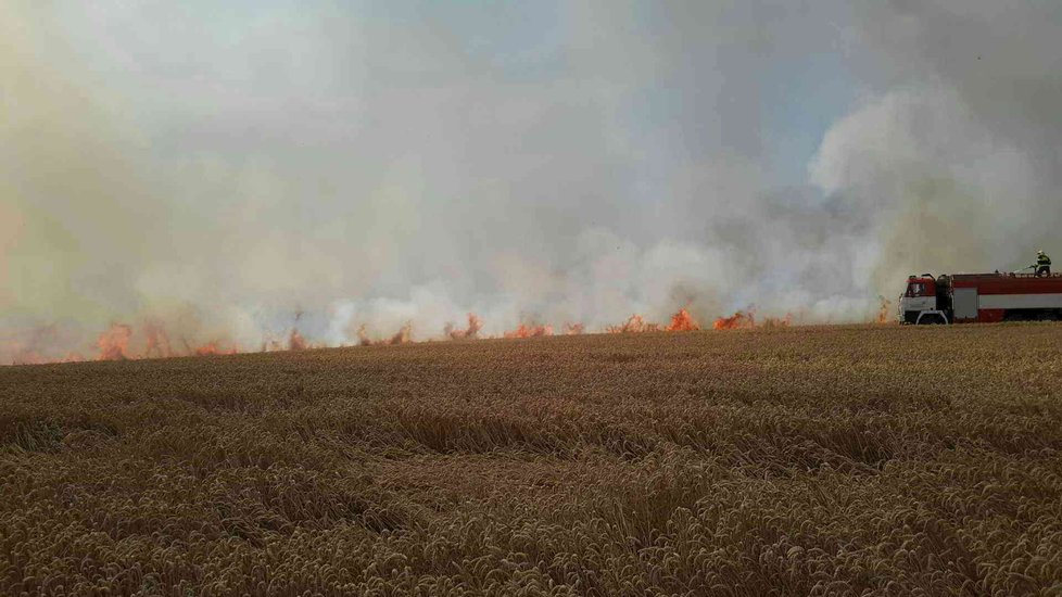 Požár zničil 15 hektarů pšenice u Radějova na Hodonínsku.