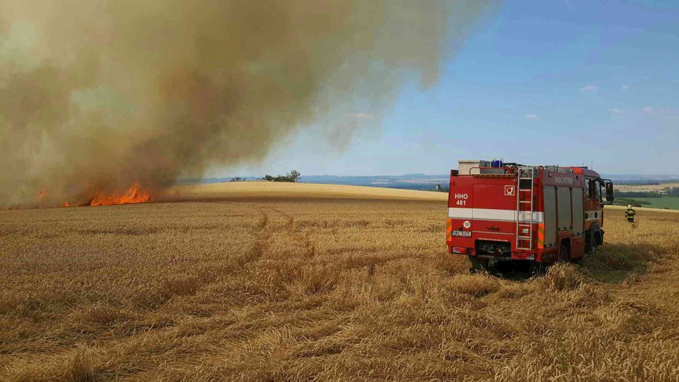 Požár zničil 15 hektarů pšenice u Radějova na Hodonínsku.