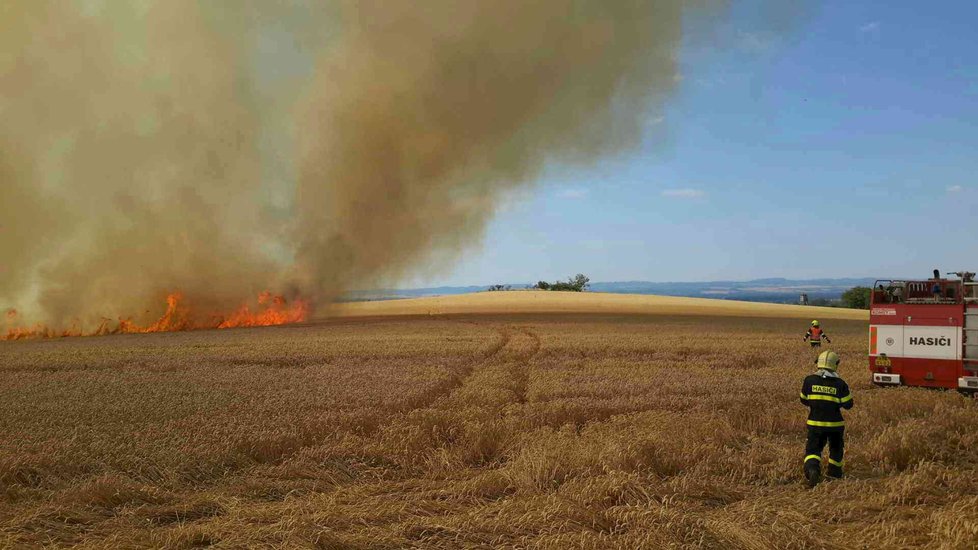 Požár zničil 15 hektarů pšenice u Radějova na Hodonínsku.