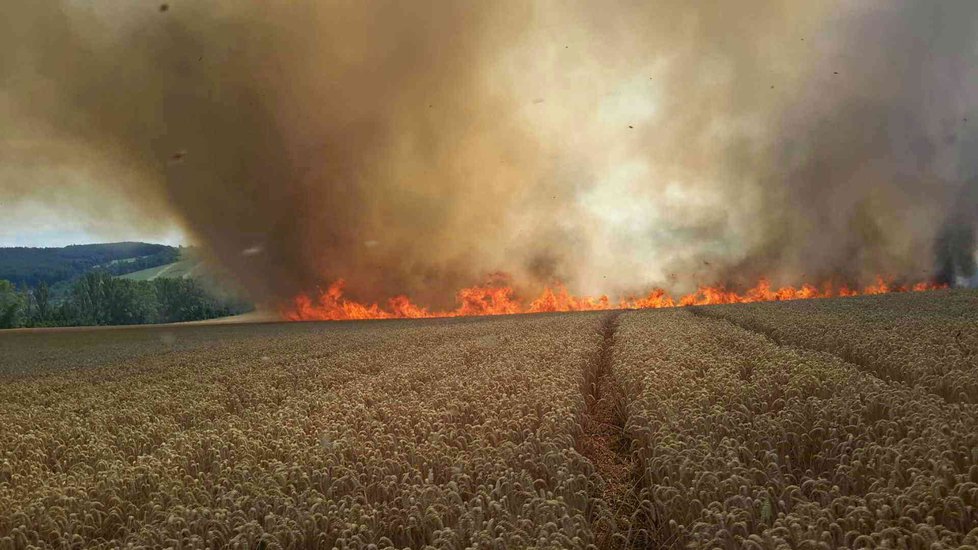 Požár zničil 15 hektarů pšenice u Radějova na Hodonínsku.