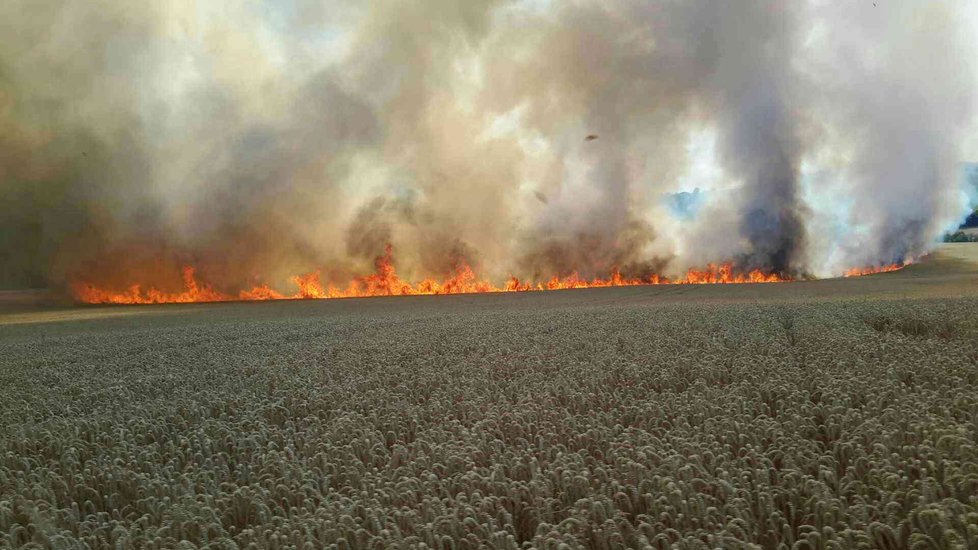 Požár zničil 15 hektarů pšenice u Radějova na Hodonínsku.