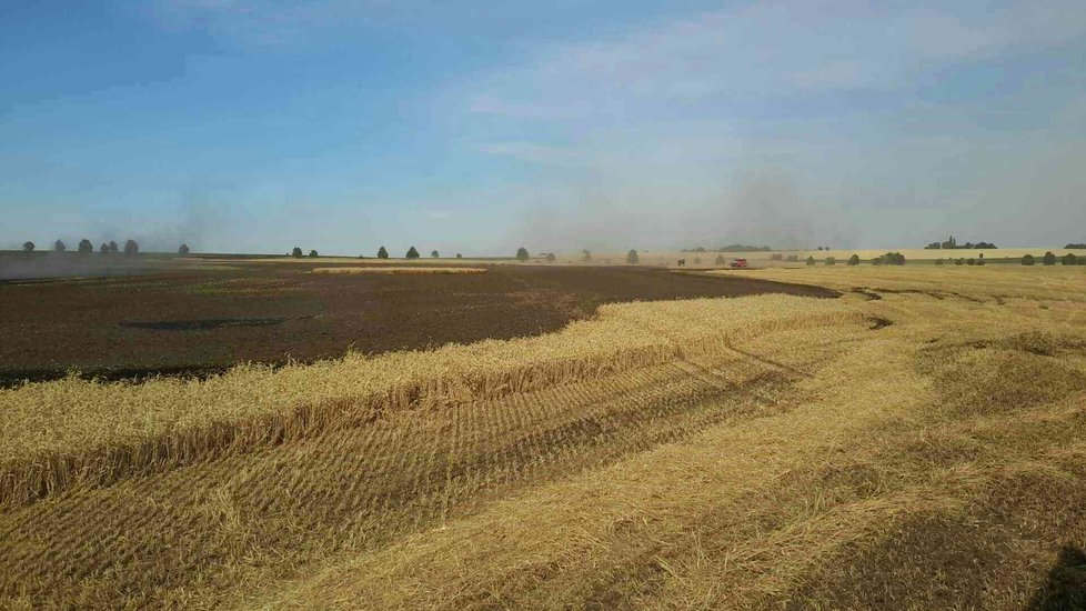 Kombajn a 30 hektarů obilí shořelo u Tvarožné na Brněnsku.