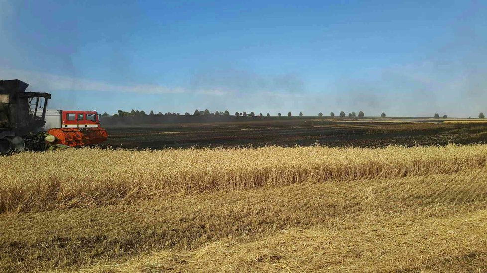 Kombajn a 30 hektarů obilí shořelo u Tvarožné na Brněnsku.