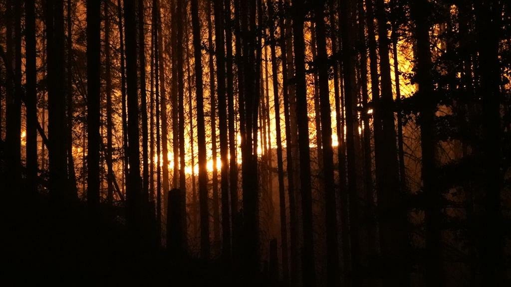 Požár v Českém Švýcarsku (25. 7. 2022)