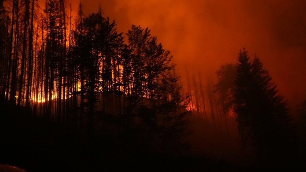 Požár v Českém Švýcarsku (25. 7. 2022)