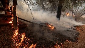 Lesní požáry pustoší sever Kalifornie.