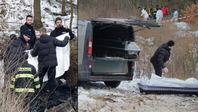 Ničivý požár v Plzni: V chatě uhořeli dva lidé a dva psi.