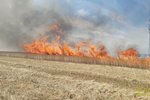 Požár pole s pšenicí u Nedražic na Tachovsku.