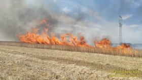 Požár pole s pšenicí u Nedražic na Tachovsku.