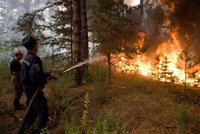 Hrdina: Zachraňoval kamarády z ohně, zabil ho strom