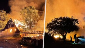 Požár zasáhl pilu na Rychnovsku: Škoda je 15 milionů korun