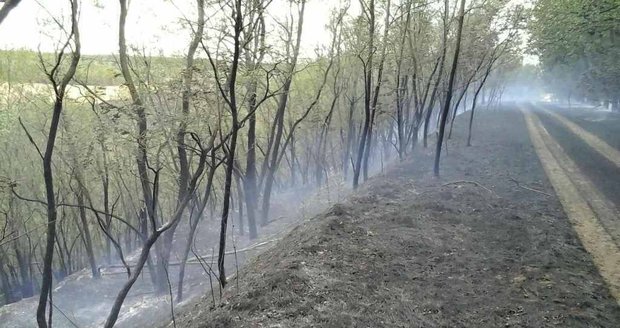Oheň poblíž Hrušovan u Brna poničil 32 hektarů pole a lesa. Škoda je 100 tisíc korun, příčina zůstává nejasná
