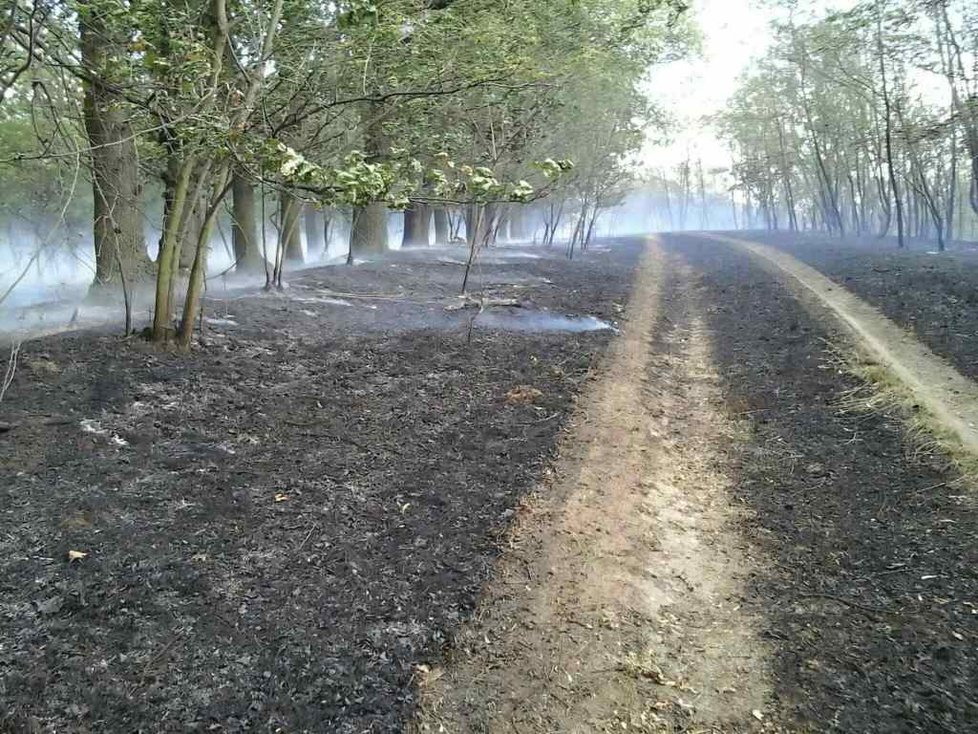 Oheň poblíž Hrušovan u Brna poničil 32 hektarů pole a lesa. Škoda je 100 tisíc korun, příčina zůstává nejasná