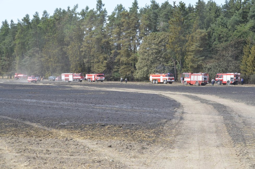 U Zhoře na Tachovsku lehla popelem část pole.