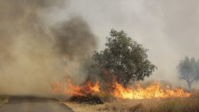 Požáry v Portugalsku