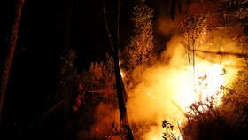 Hasiči bojují s lesním požárem poblíž města Bouca ve středním Portugalsku. Uhořely na dvě desítky lidí.