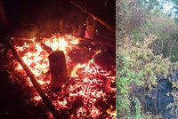 Vyjeli k požáru lesního posedu: Ve spáleništi ležela mrtvola muže