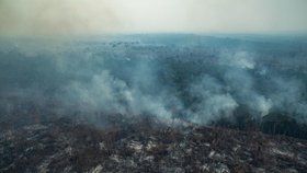 Letošní požáry ve státě Pará