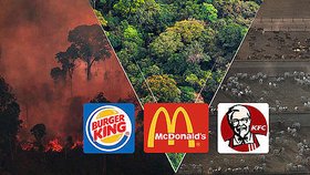 Hnutí Greenpeace zaútočilo na fastfoody.