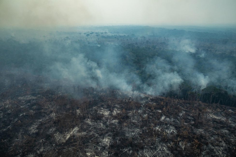 Letošní požáry ve státě Pará