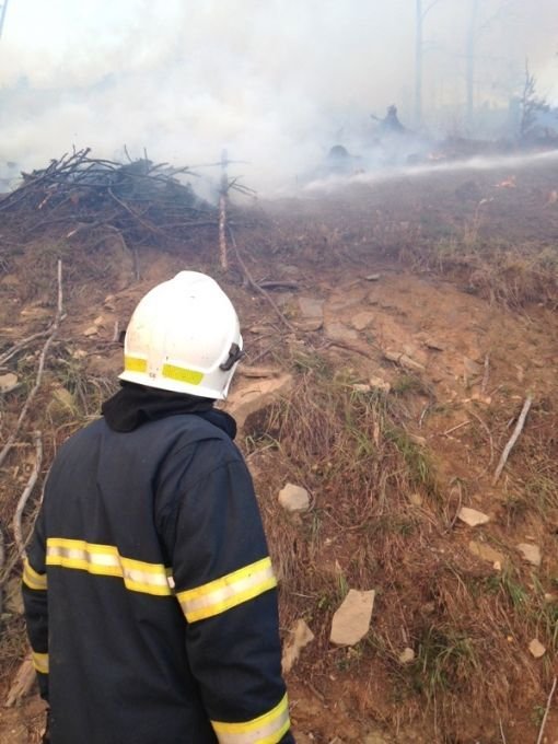 Požár na východě Slovenska zasáhl přes 30 hektarů lesa.