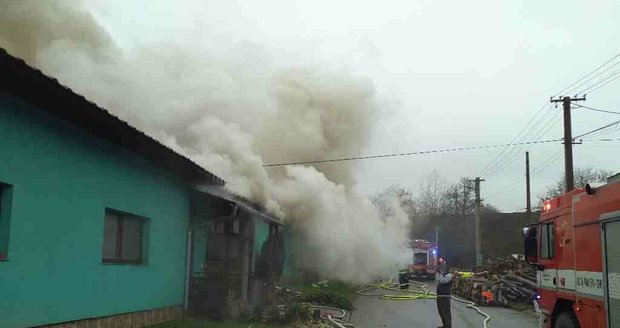 Devět hodin zasahovali hasiči při požáru stolařské dílny v Louce na Hodonínsku.